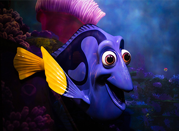 master multimedia course coimbatore